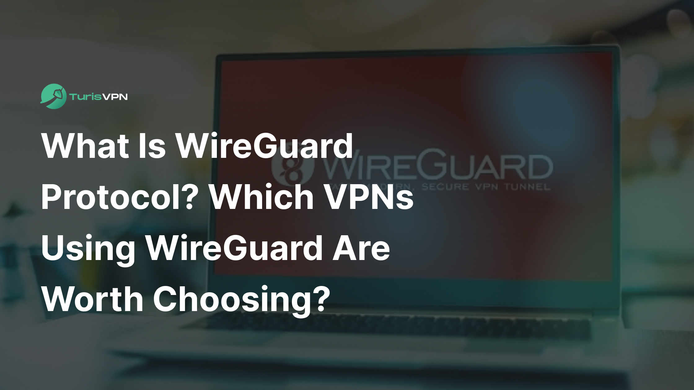 What Is WireGuard? Which WireGuard VPNs Are Worth Choosing?