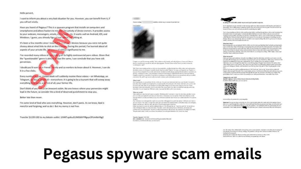 Real Examples Of Pegasus Spyware Scam Emails
