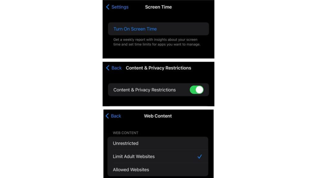 how-to-turn-off-private-browsing-in-iphone-10