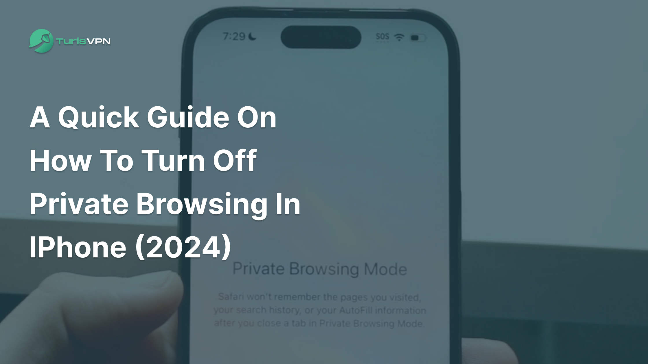 A Quick Guide on How to Turn Off Private Browsing in iPhone (2024)