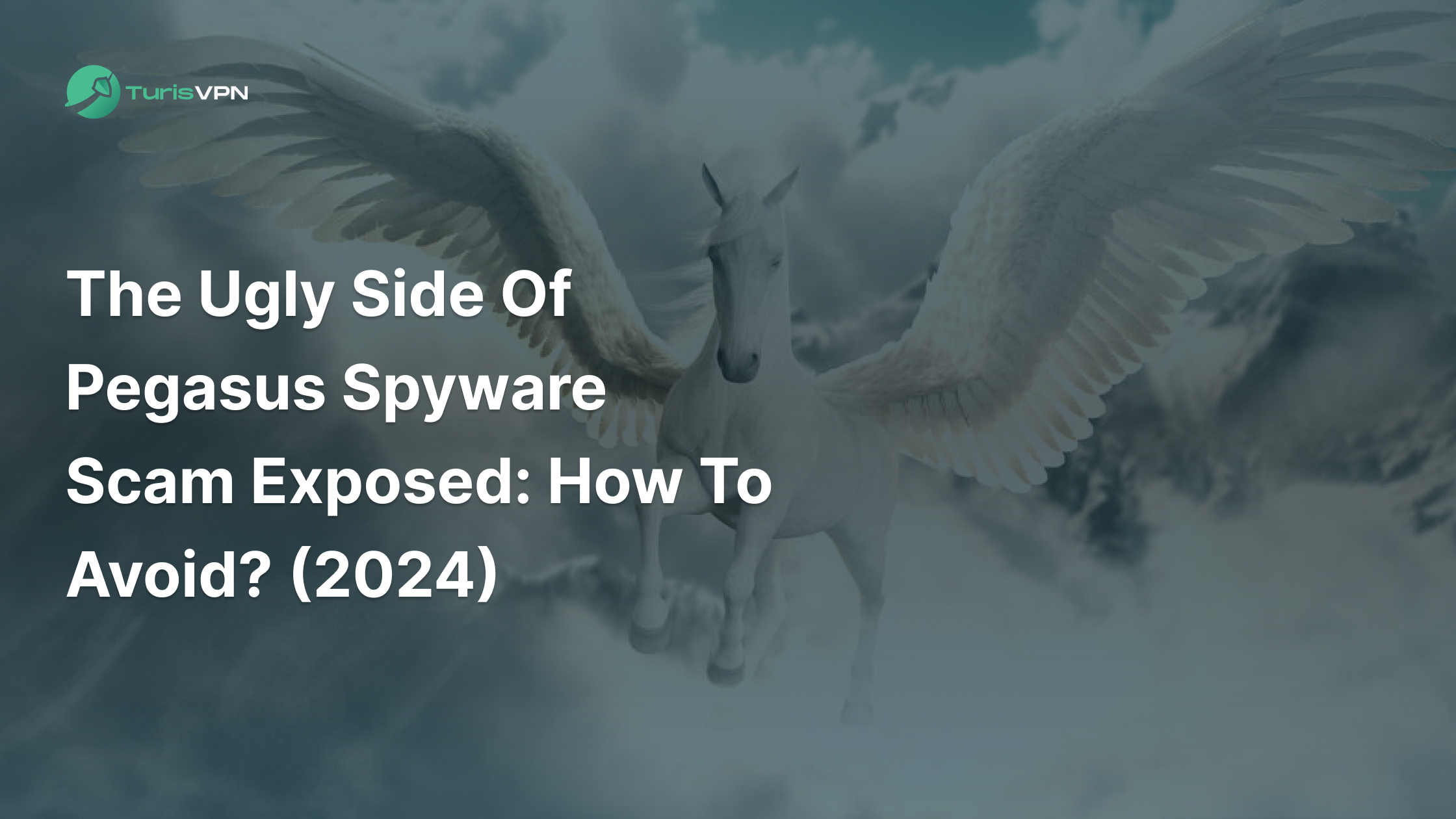 The Ugly Side Of Pegasus Spyware Scam Exposed: How To Avoid? (2024)