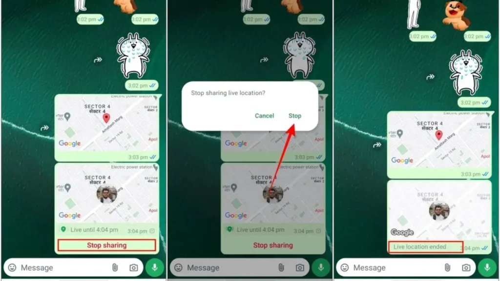 stop sharing on whatsapp