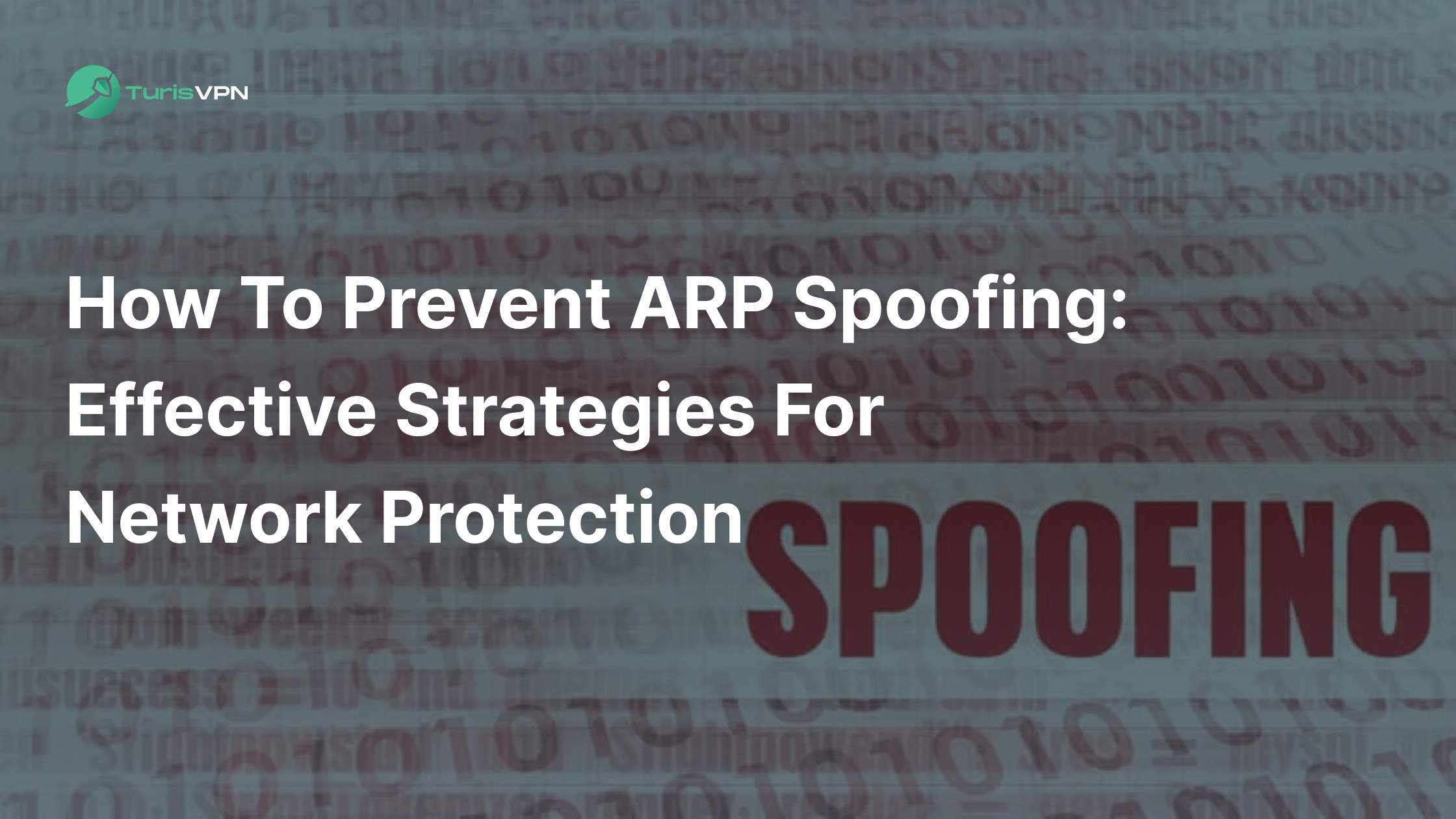 How to Prevent ARP Spoofing: Effective Strategies for Network Protection thumbnail