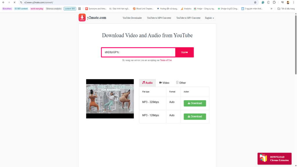 y2mate-privacy-concerns
